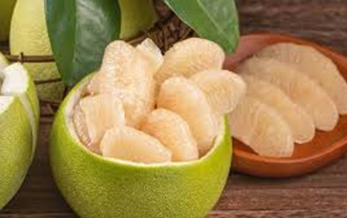 Danh sách một số loài dược liệu có tiềm năng phòng chống viêm đường hô hấp cấp do virus SARS-CoV-2
